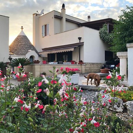 알베르벨로 Casa Delle Rondini B&B 외부 사진