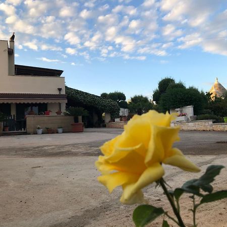 알베르벨로 Casa Delle Rondini B&B 외부 사진
