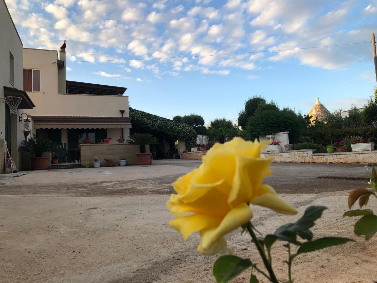 알베르벨로 Casa Delle Rondini B&B 외부 사진