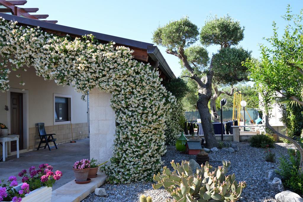 알베르벨로 Casa Delle Rondini B&B 외부 사진