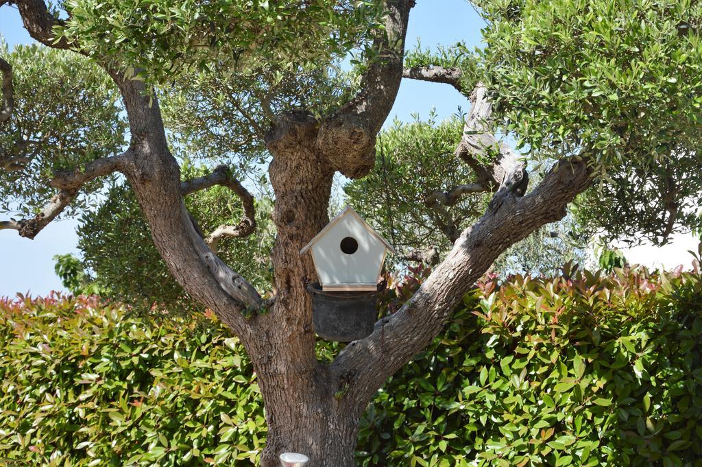 알베르벨로 Casa Delle Rondini B&B 외부 사진